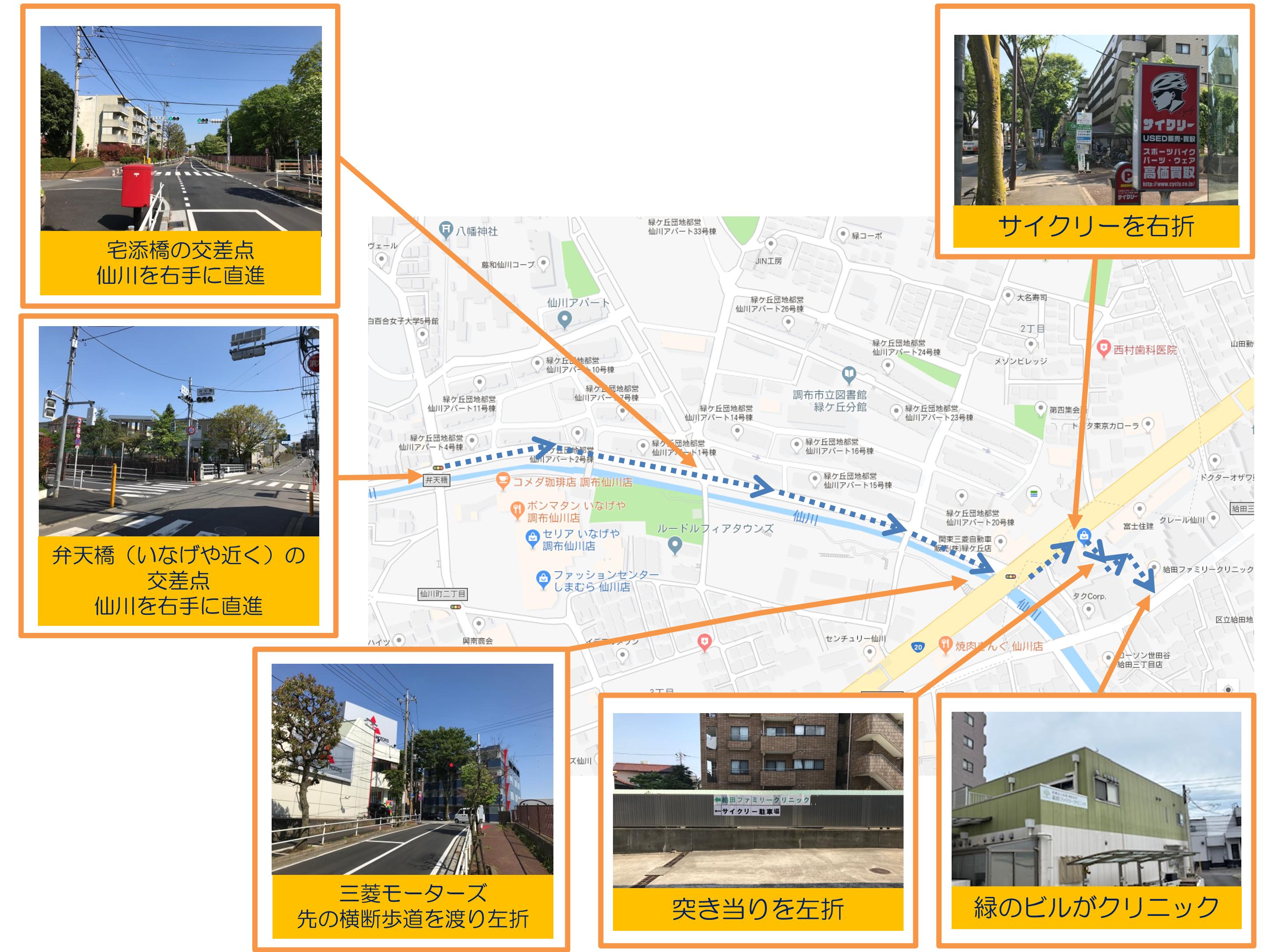 緑ヶ丘・新川・中原方面からお越しの方